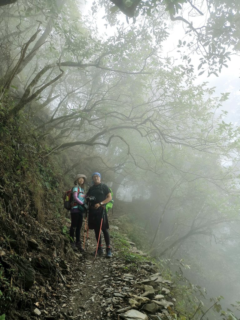 日湯真山+西大武山20200403_904075
