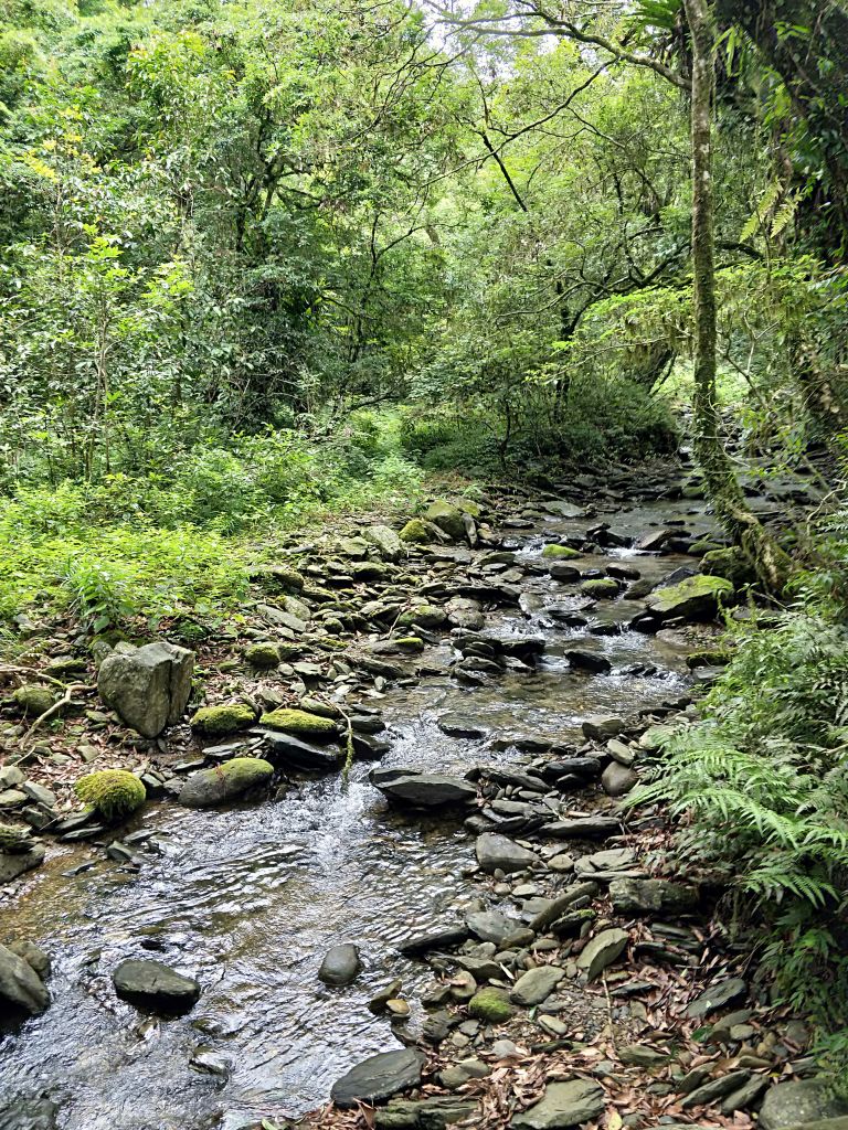 福山植物園_353537