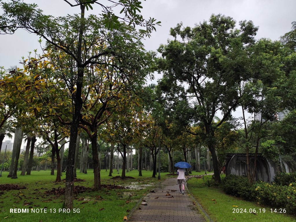 大安森林公園、安湖三號公園【走路趣尋寶，全臺齊步走】_2530691