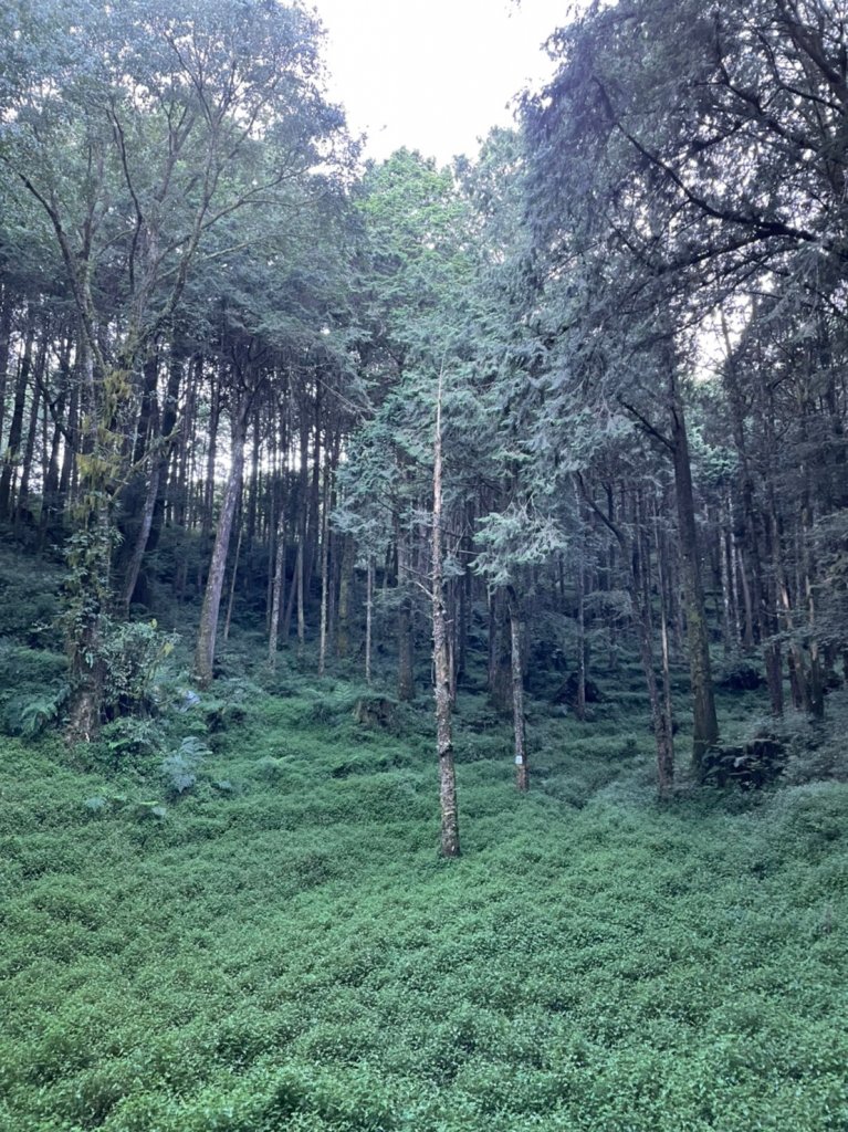 小百岳(59)-大塔山-20220925_1878620