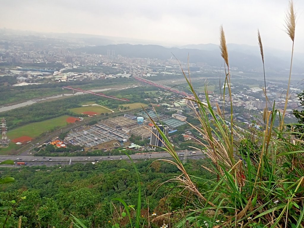 【南山神壽任務尋寶趣】鳶山彩壁、福德坑山步道【小百岳集起來】#19 鳶山登山步道_1580903