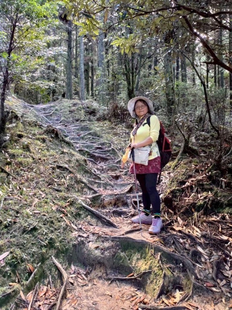 觀霧-榛山步道_2926033