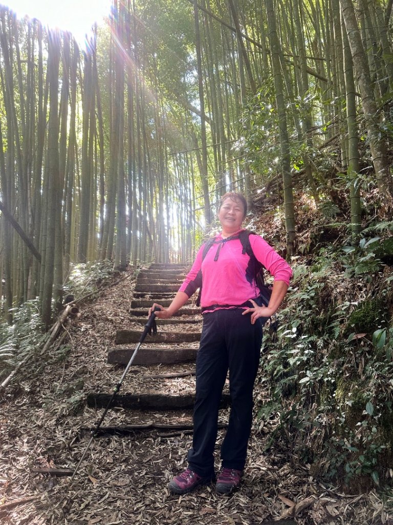 嘉南雲峰、九穹神木_3014469