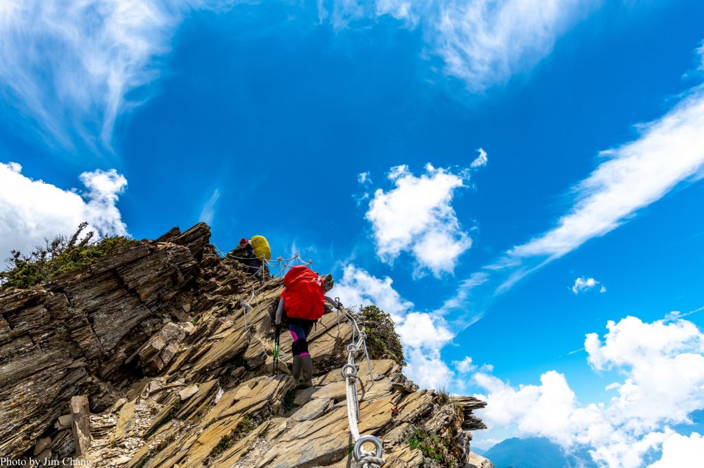 南湖大山賞花行_336894