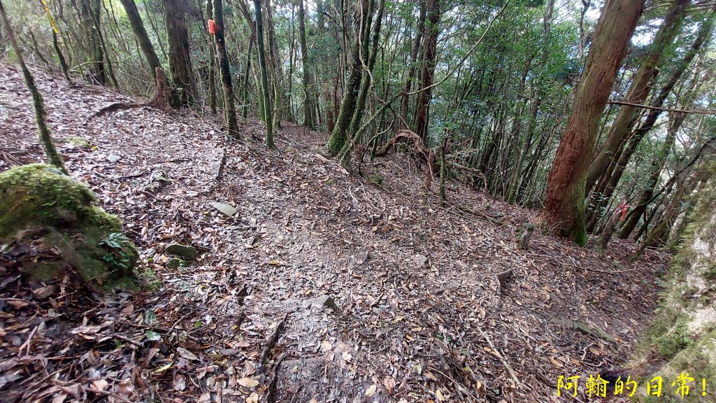 高島縱走_2687004