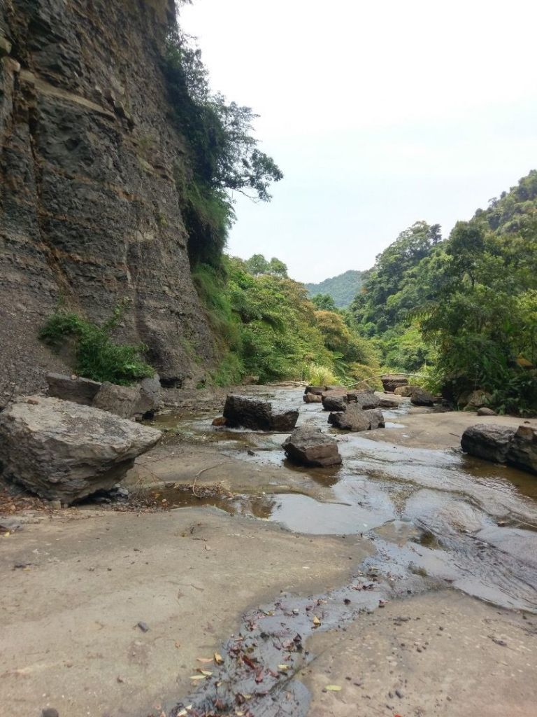 汐止姜子寮山_395929