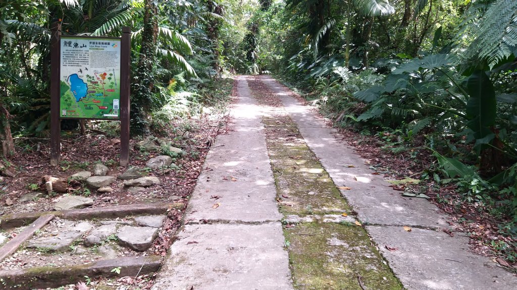 230929-花蓮鯉魚山大O繞9公里。美美兔趁陽光露臉搶登慶中秋。_2383645