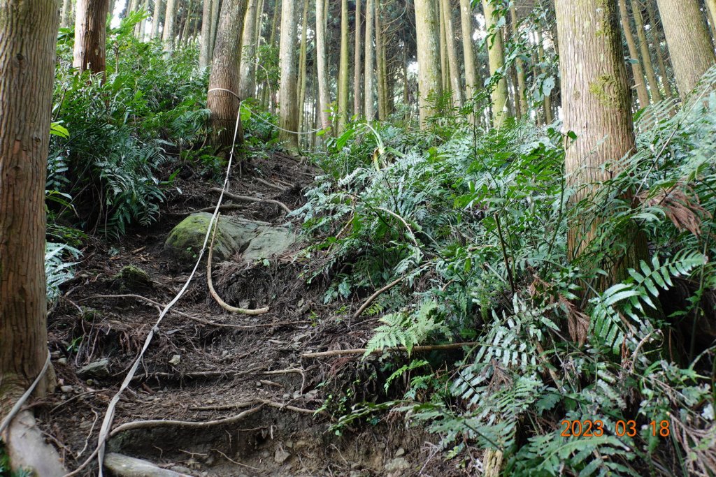 新竹 關西 馬武督山、蓮包山_2076587