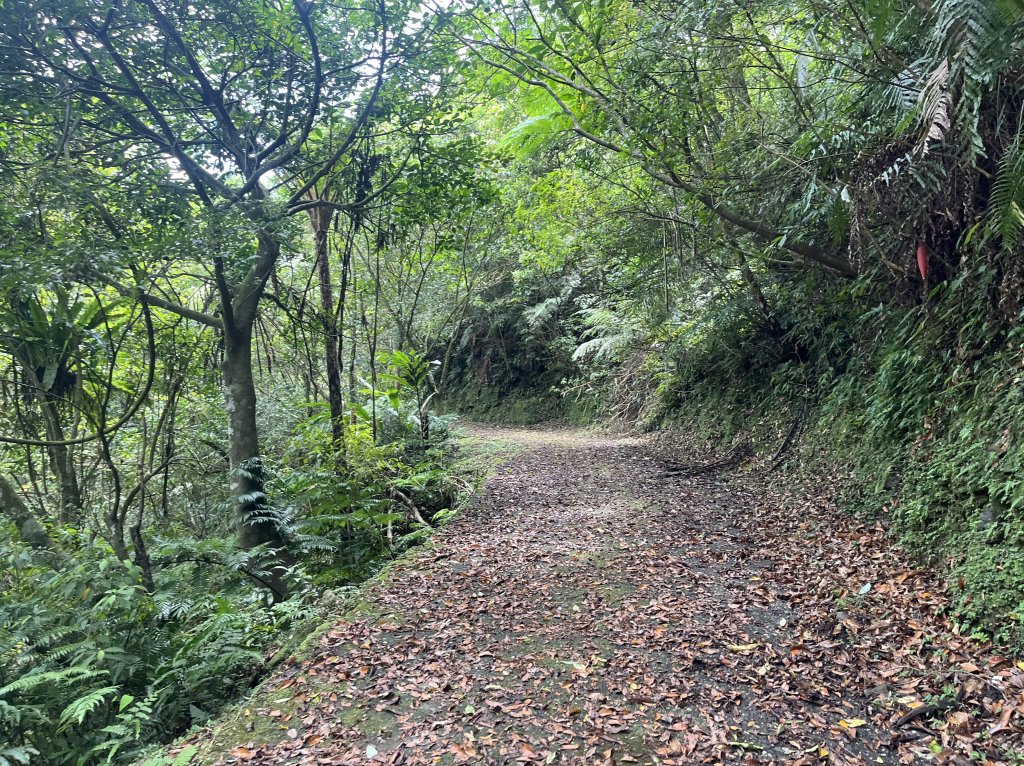 [淡蘭古道] 2024_0622 中路第五段-灣潭古道_2533946