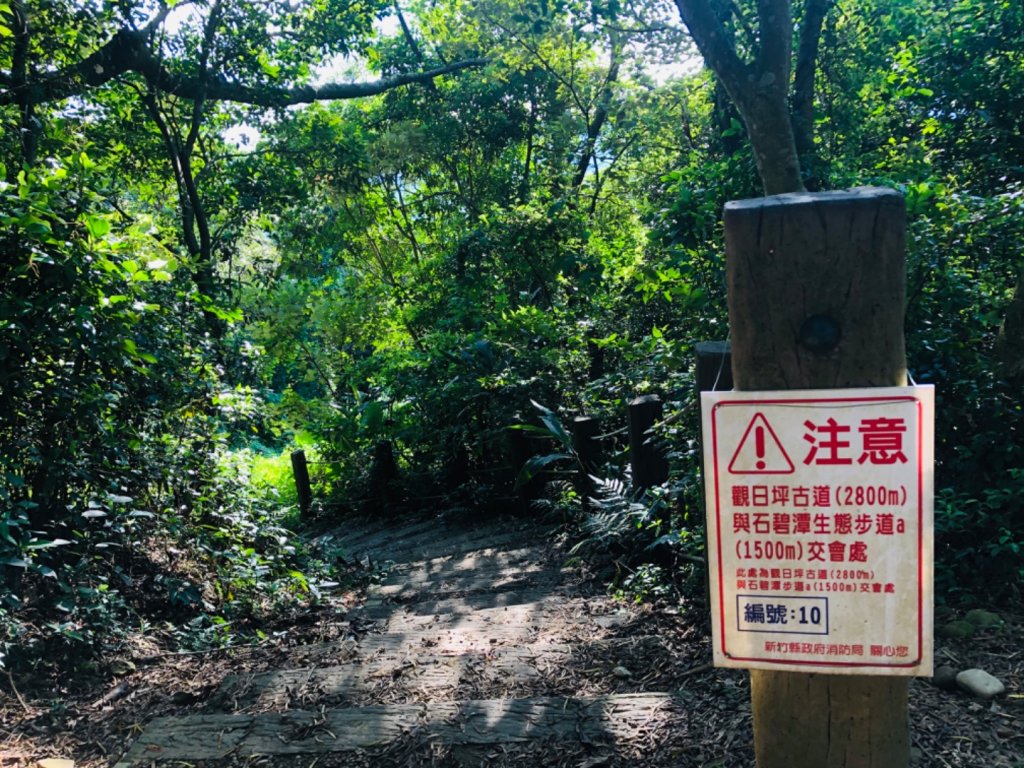 1090830飛鳳山.中坑山.石壁潭山_1085143