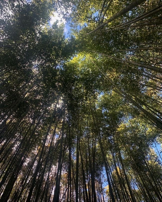 霞喀羅古道_2400247