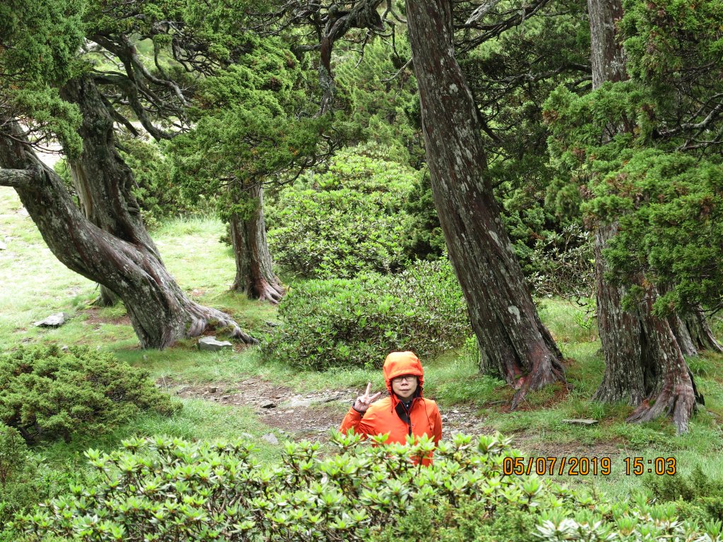 雪山下翠池_635050