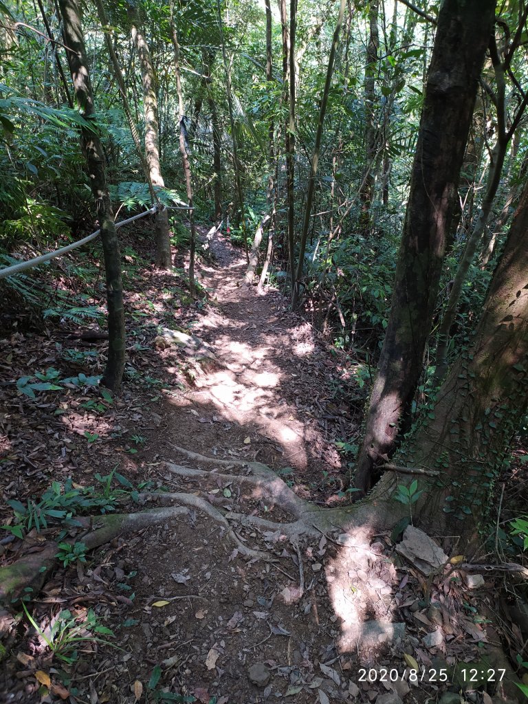 闊瀨古道O形線_1079780