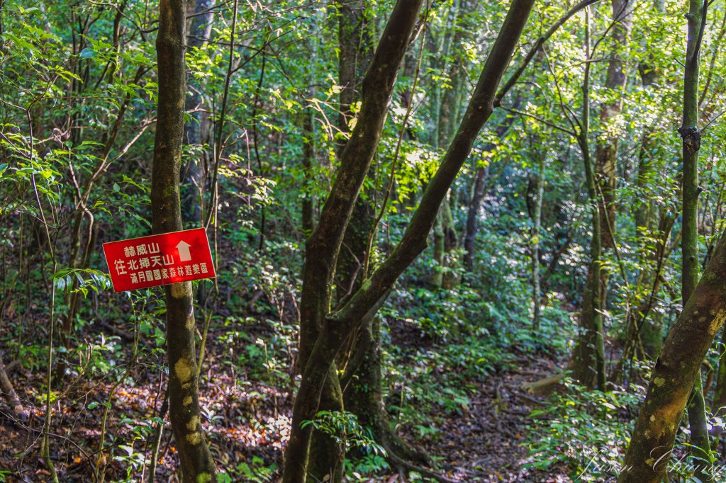 [桃園]北插天山磨練之旅_2532887