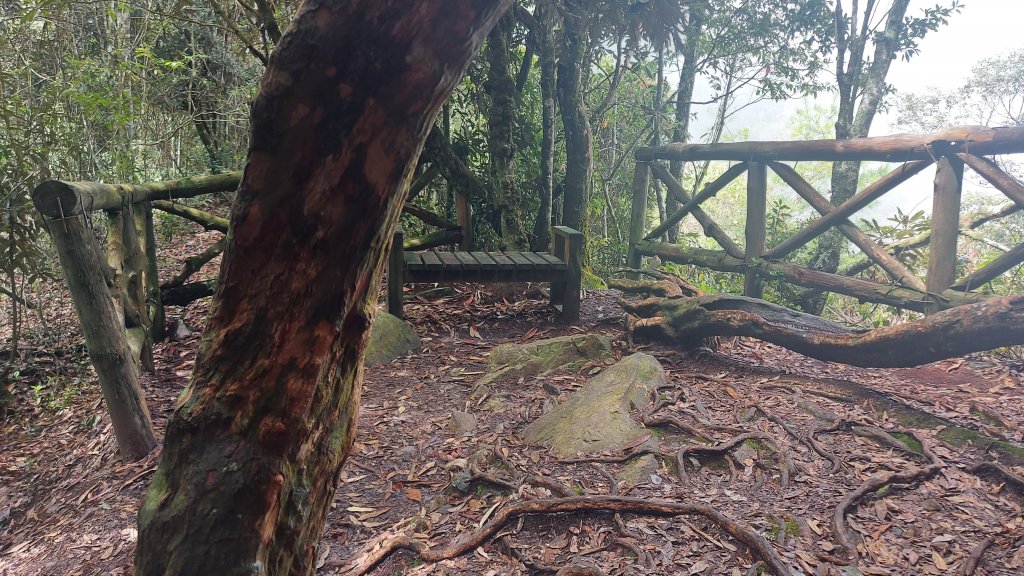 橫嶺山 隧道 主峰 沙蓮山 鳶嘴 8字型_1452186