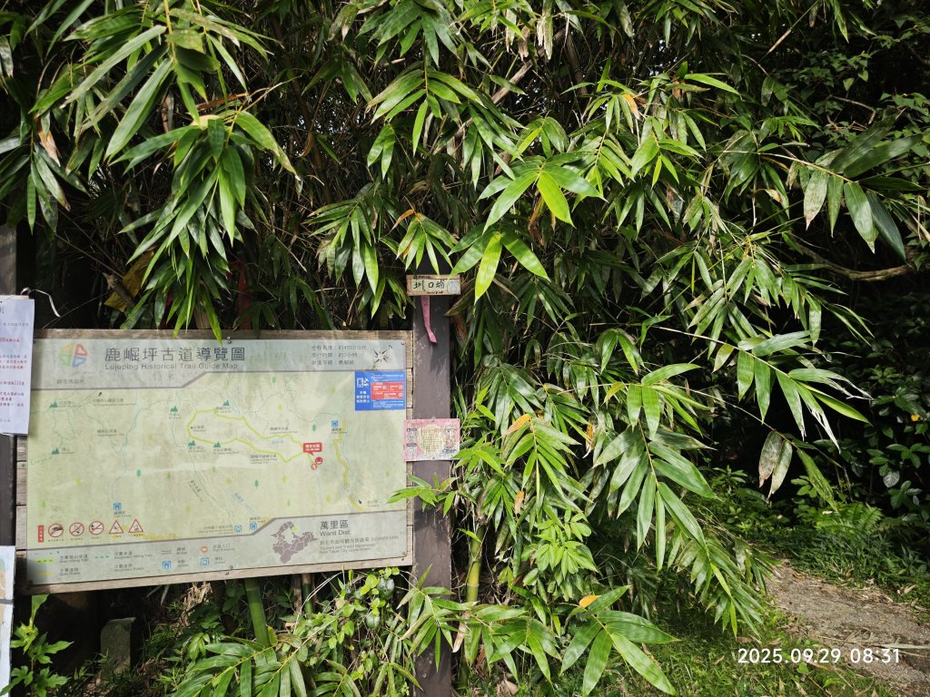 2025-0929 鹿堀坪古道封面圖