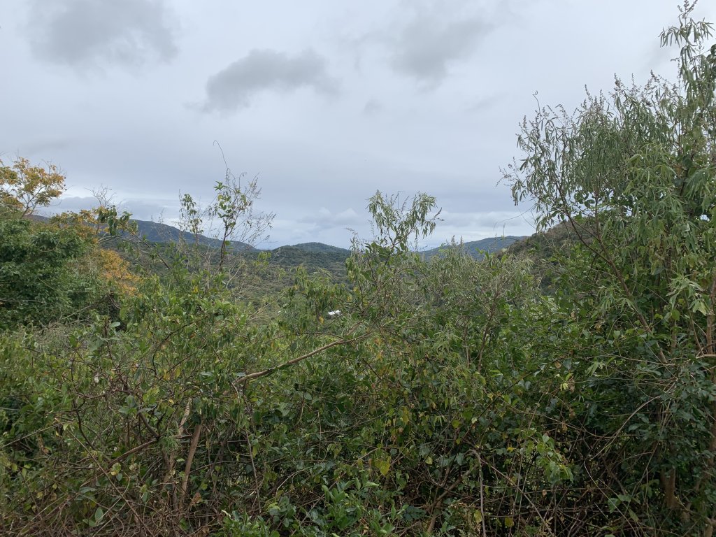 20260124屏東老佛山-老佛山南峰_2992332