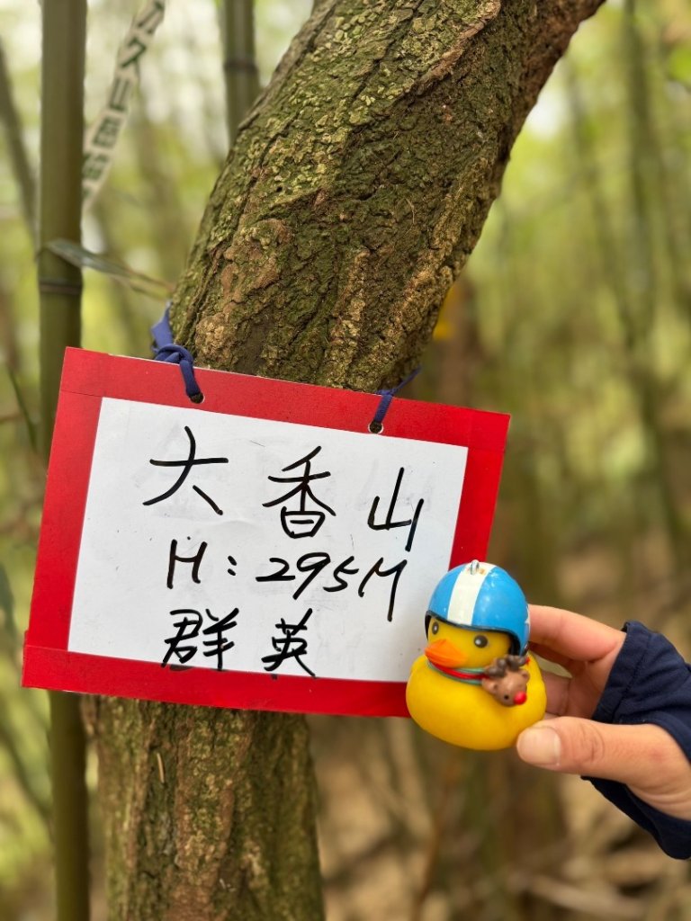 青潭越嶺政大-賞梅花🌸安坑🐦嘴四秀_2691705