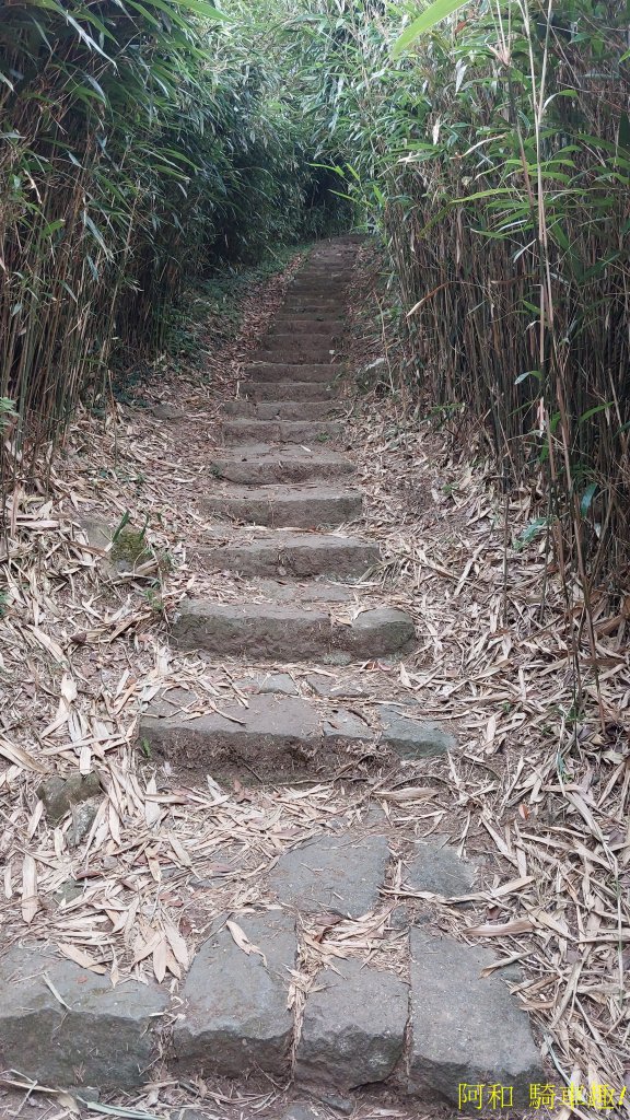 大屯山_1827869