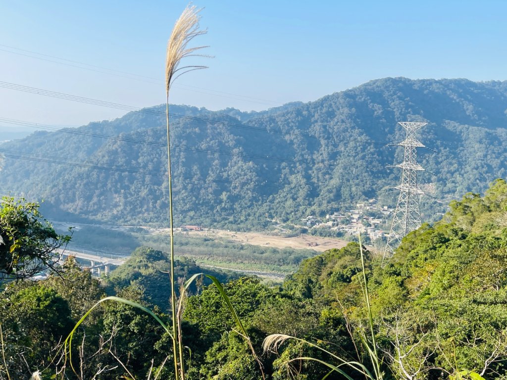 1141207金童山_2957724