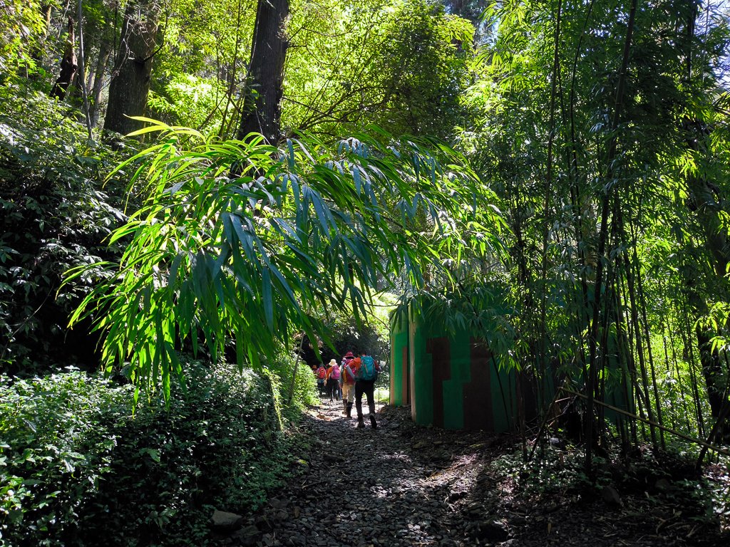 2025-09-14 奮起湖_2887403