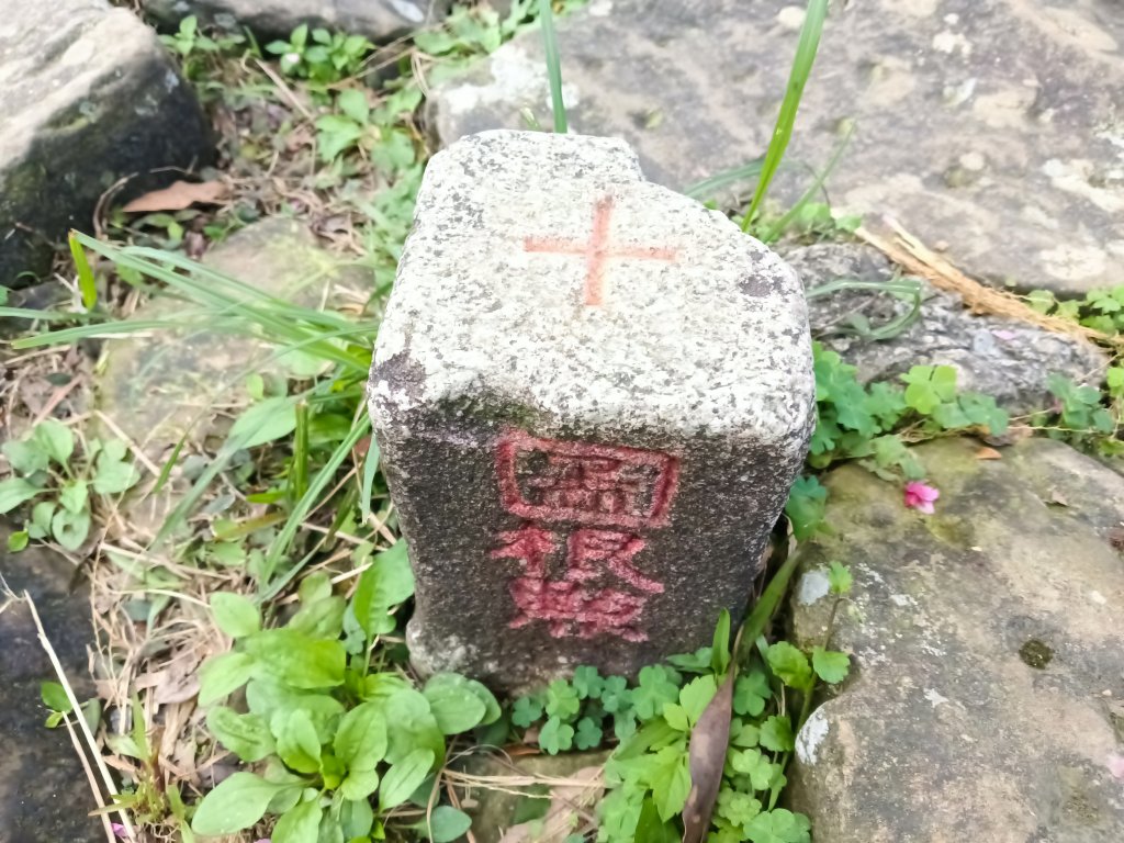 汐止區大尖山櫻花+秀峰瀑布O型_3009389