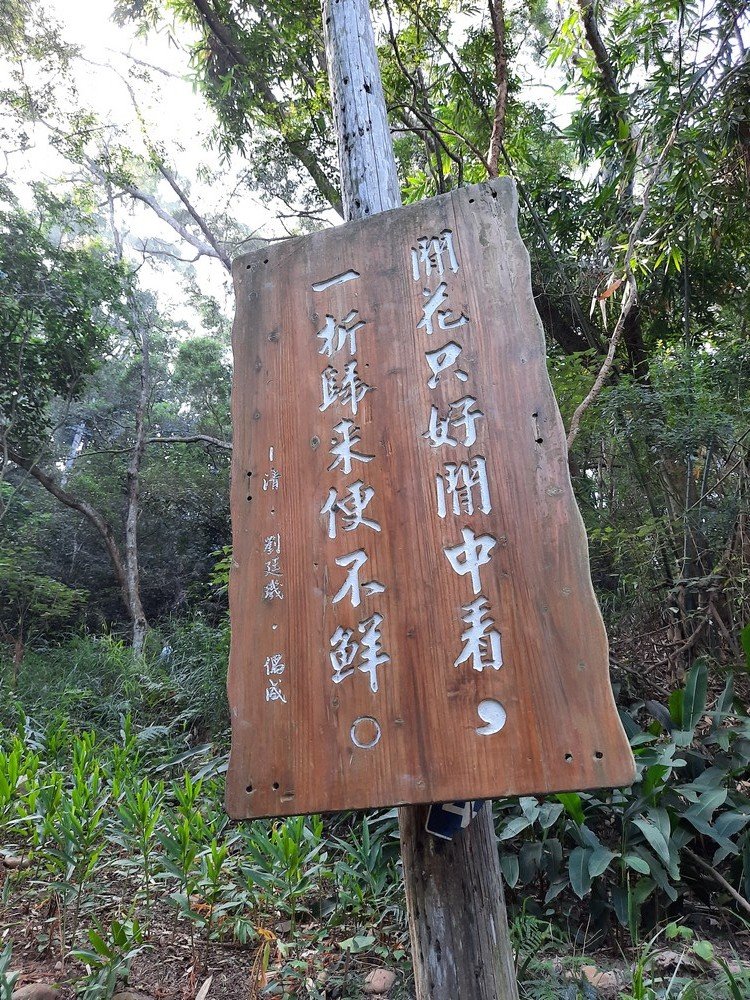 《彰化》田中森林登山步道O型20201122_1179691