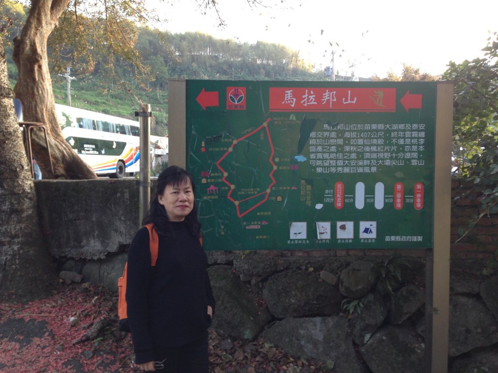 四訪苗栗的花果山-小百岳#037馬那邦山、雪霸國家公園管理處【小百岳集起來、苗栗-臺灣百大必訪步道】_2394283
