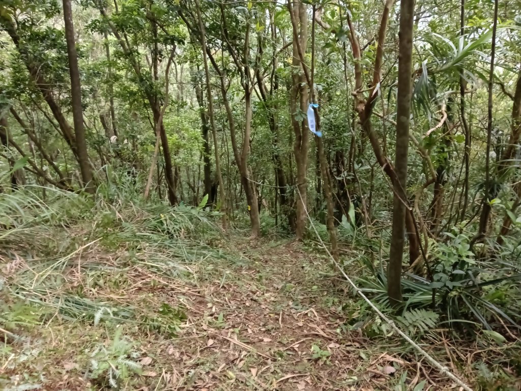 雙溪區彎穹平林山+平湖東步道+紙坑古道(億山煤礦)+紙坑山出平水聚落O型_2965852