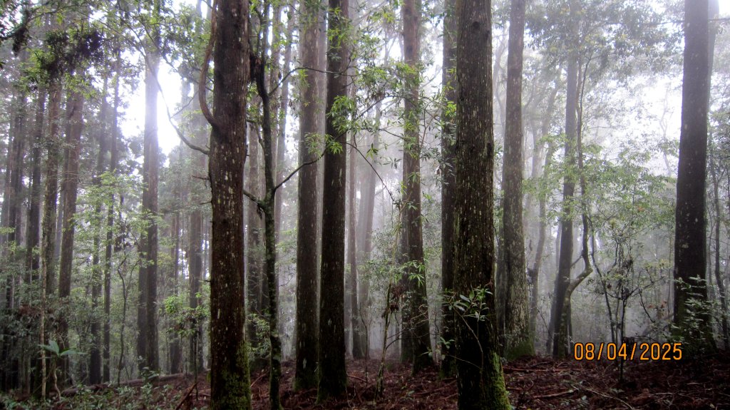 【油羅山/露營】 仙境舒活健走，雲端徜徉野趣！_2887924