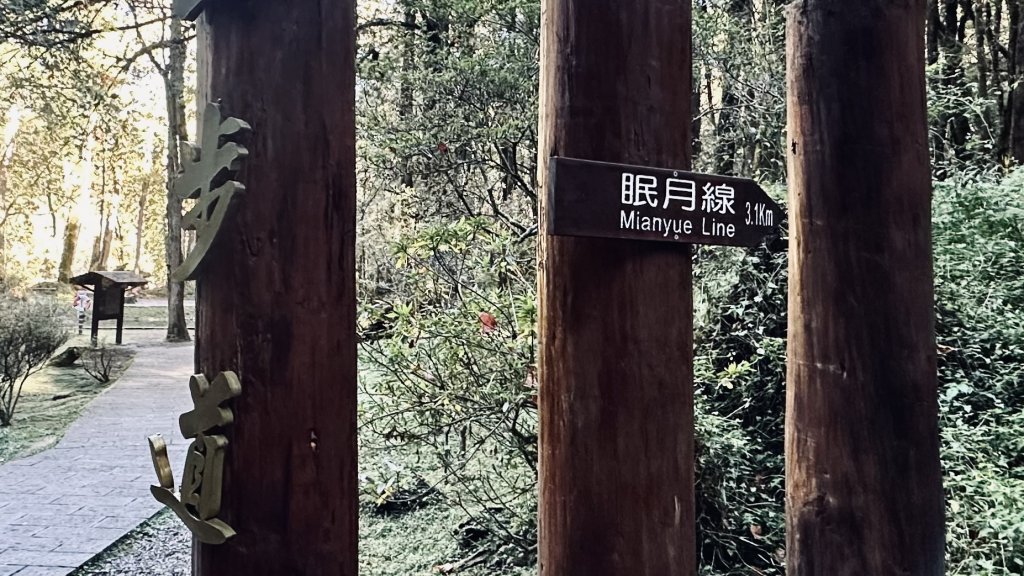 眠月線【單攻】_2685583