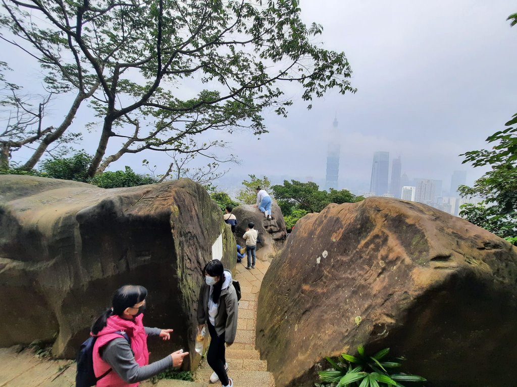 2022/12/28 南港山縱走九五峰(小百岳)，拇指山，象山_2000694