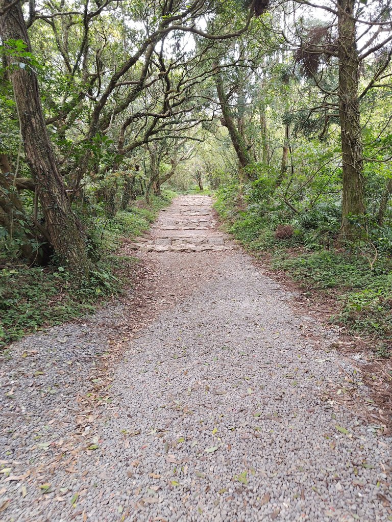 臺北大縱走第二段 二子坪至小油坑_2747485