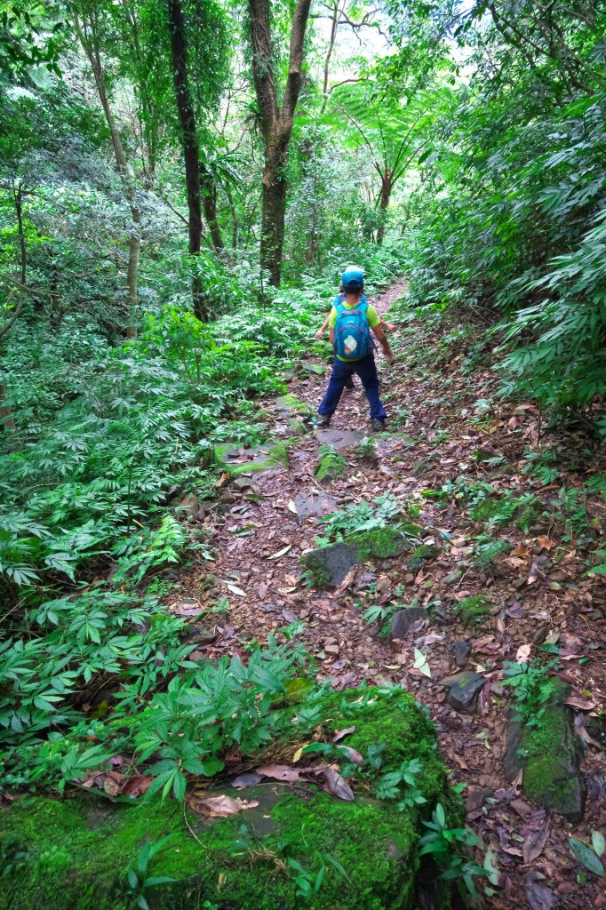 淡蘭古道中路之中坑、崩山坑古道O型_685715