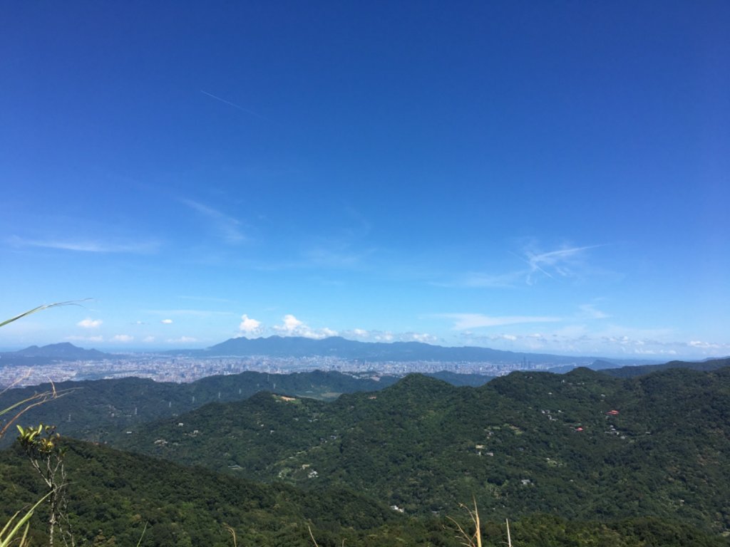 熊空茶園、西熊空山封面圖