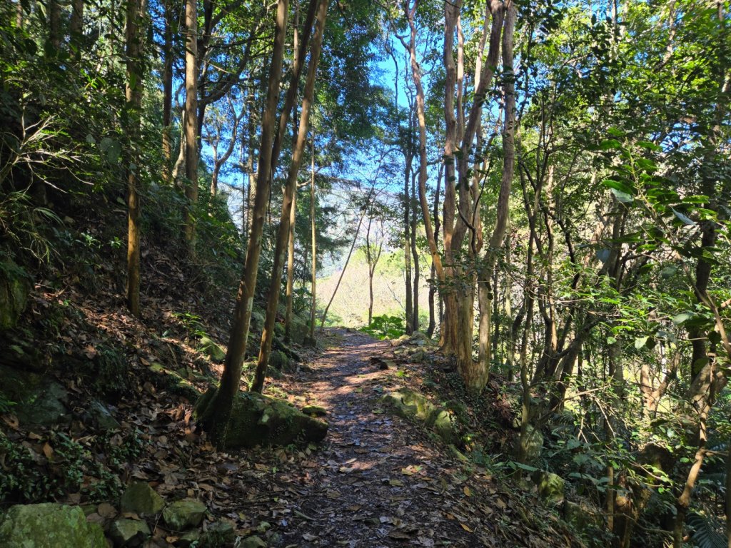 八仙山森林遊樂區、佳保台山_2712690