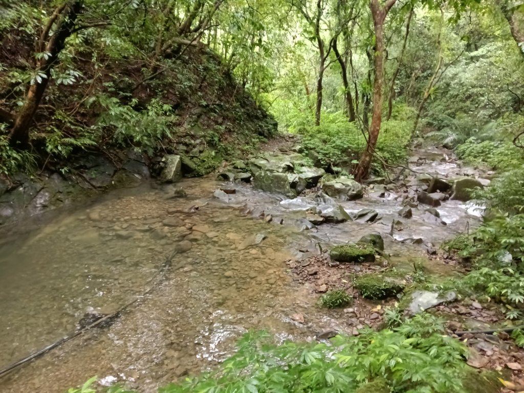 雙溪區中坑橋+中坑西山尾稜+中坑西山+內盤山坑古道+中坑橋O型_2929567