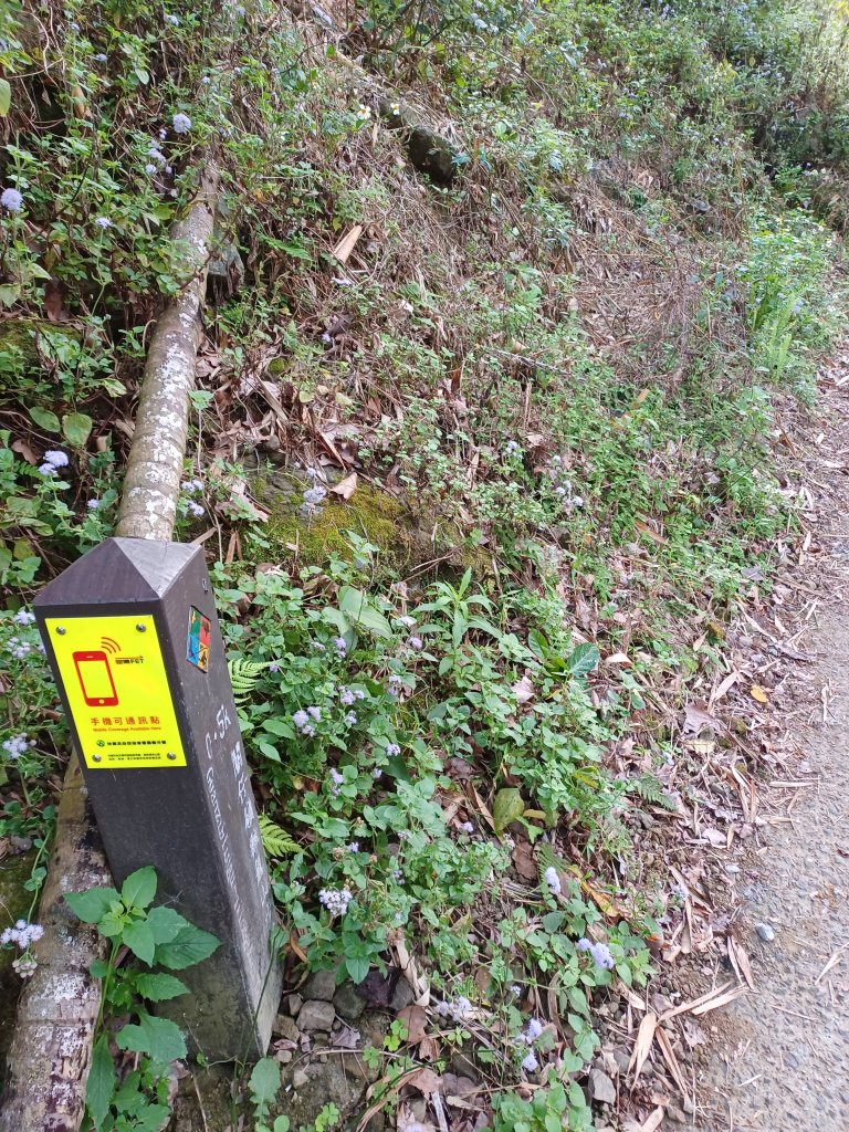 【台南白河】雞籠山+九龍山+大凍山O繞縱走_2797121