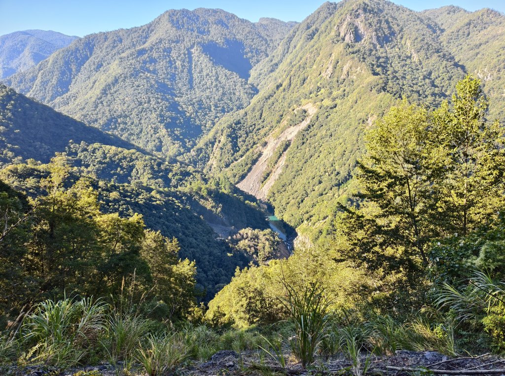 [皮皮獅探險隊-11/10] 2025_1010 隱藏任務–司馬庫斯神木群步道封面圖