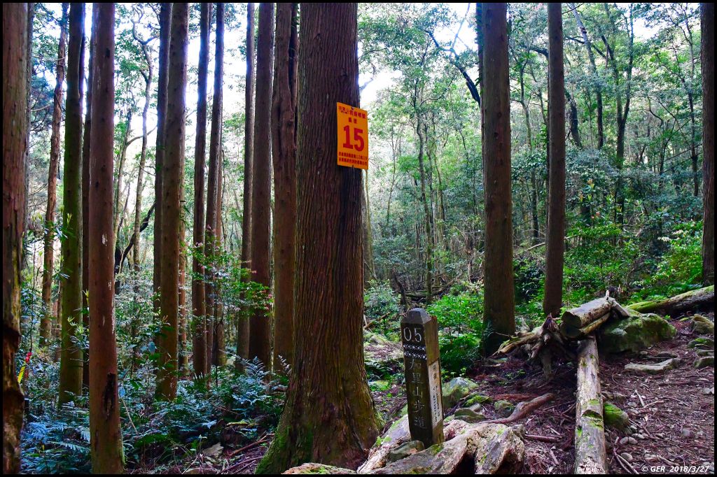 加里山 ~ 大坪經杜鵑嶺小O環走_299891