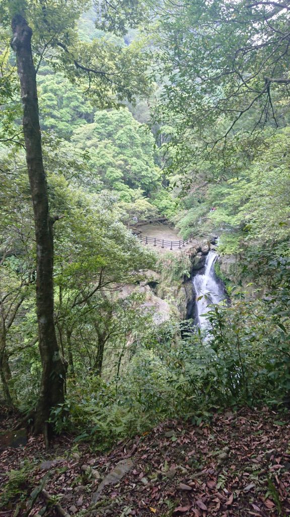菲比登山社LAMB滿月圓瀑布初體驗_335256