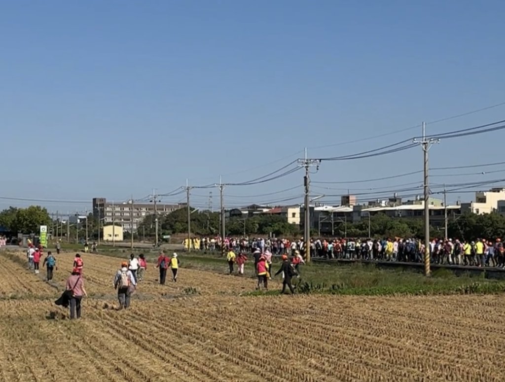 花現山邊媽繞境_2959448