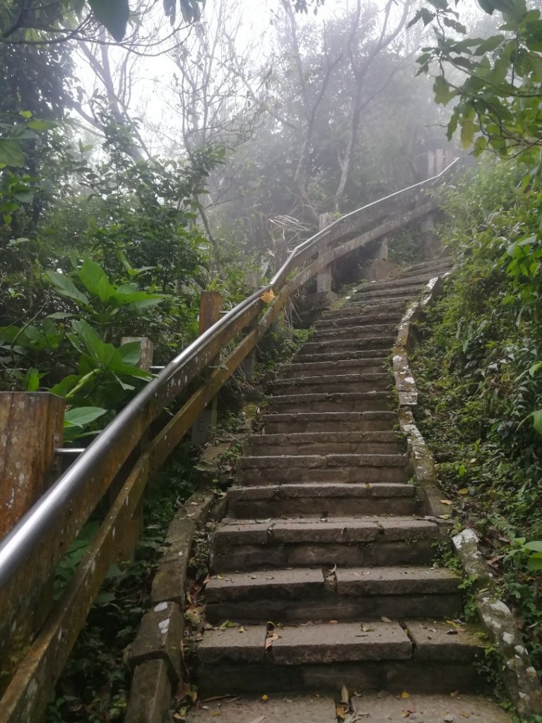 小百岳013號～南港山，幾乎整路爬樓梯，不怕樓梯者限定_1348552
