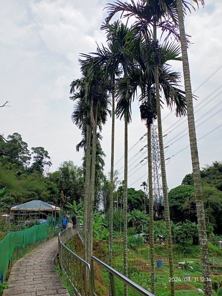 【臺北大縱走 6】中華科大→捷運麟光站、【小百岳集起來】#013 南港山 H375m_2470579