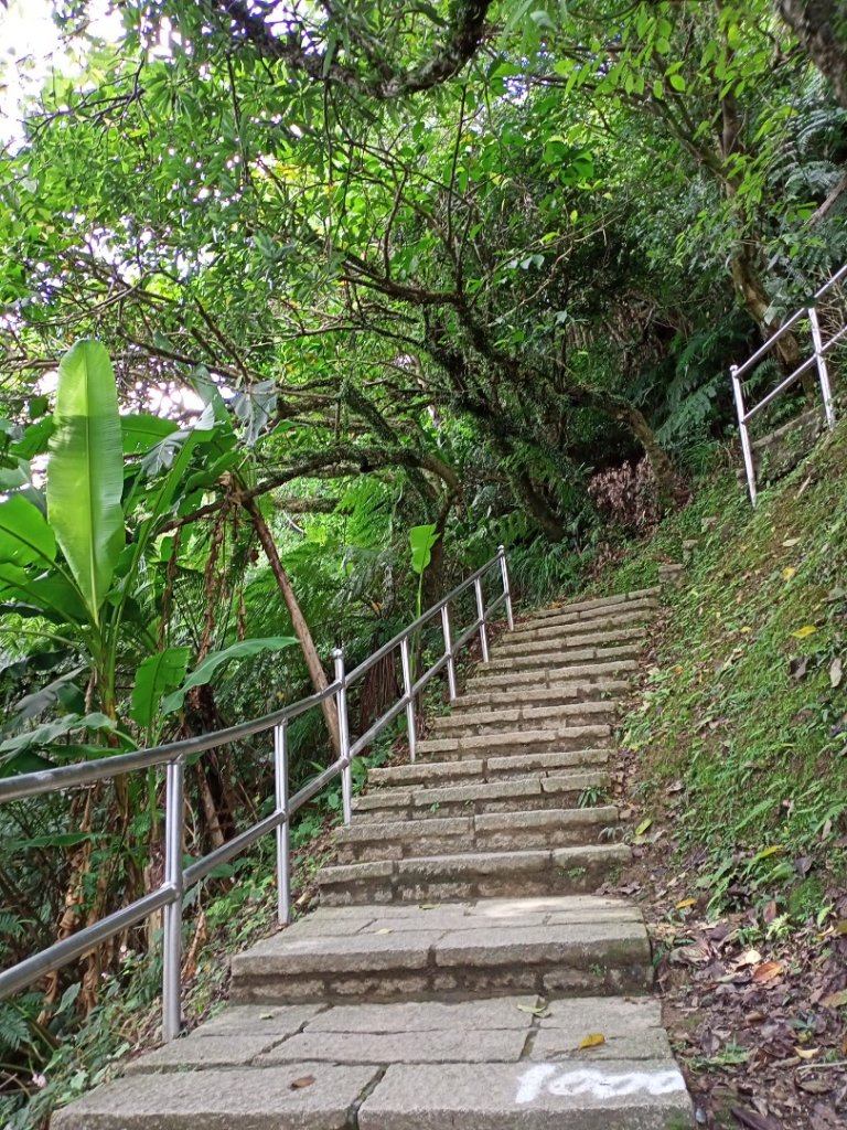 【山系野遊】汐止大尖山-茄苳古道秀峰瀑布_1118973