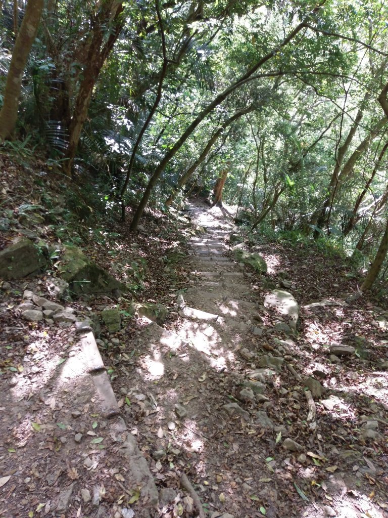 錐麓古道_740135