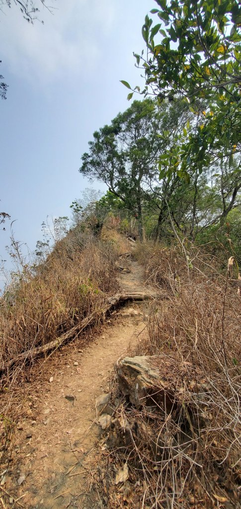 2023-04-15刣牛湖山登山步道_2114697