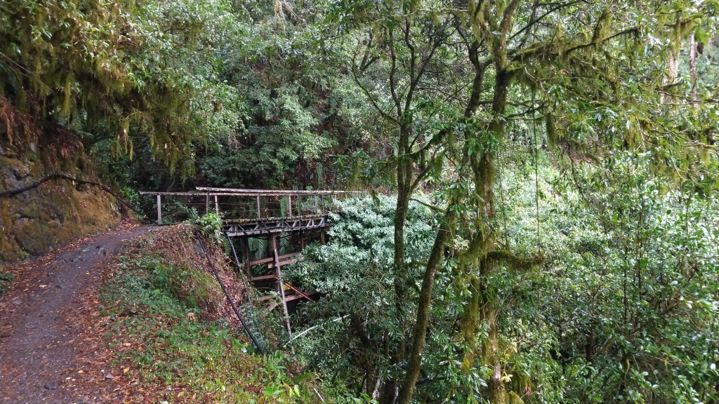 20200126~27 奇萊南華_818017