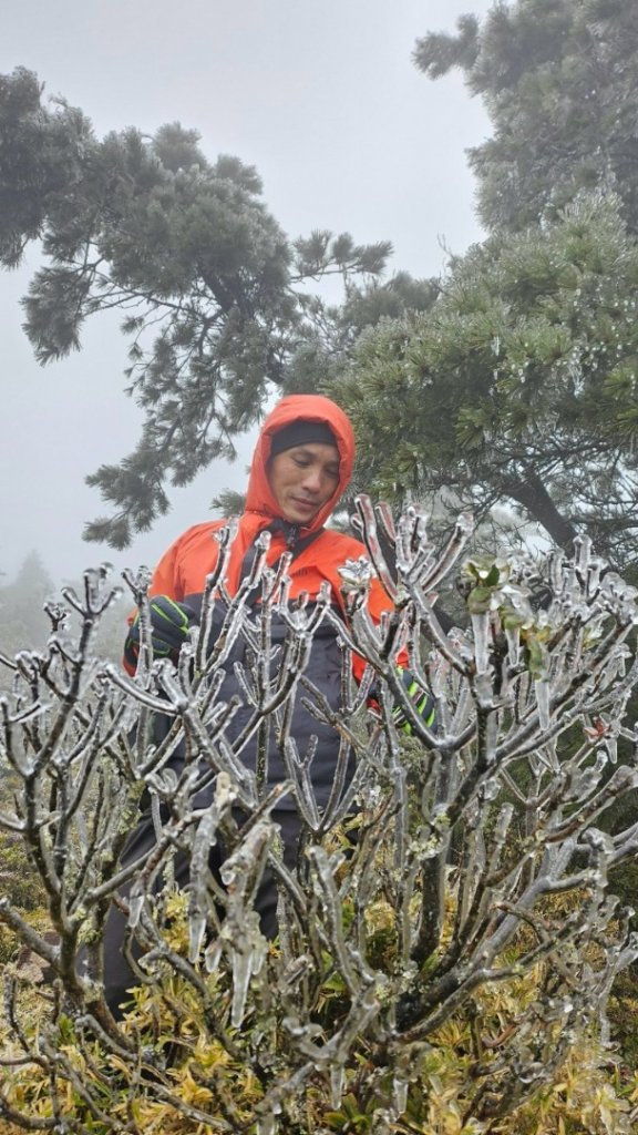 20250319～20嘉明湖國家步道🥶🥶🥶殘念😭_2739742
