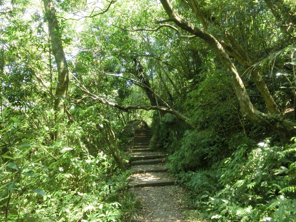 荖寮坑古道．淡蘭古道暖東舊道_158169